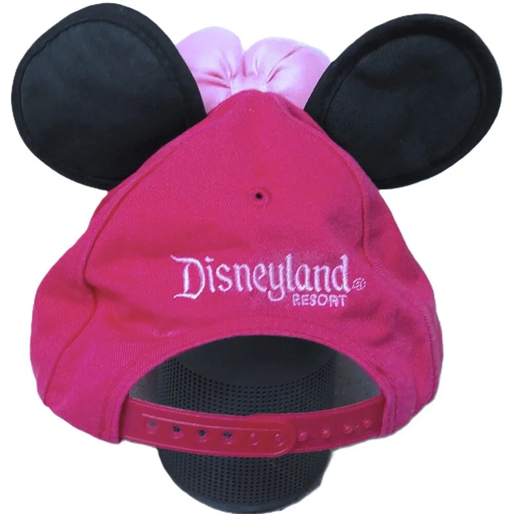 Disney disneyland resort